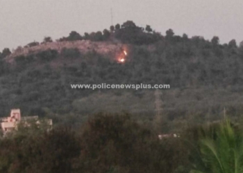 கோபாலி மலையில் பயங்கர தீ விபத்து