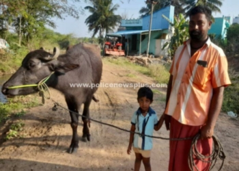 கால்நடை வளர்ப்போர் அவதி