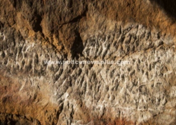 திருப்பரங்குன்றம் மலையில்,  தமிழ் எழுத்துக்கள் கண்டுபிடிப்பு