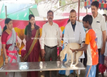 செல்லப்பிராணிகளுக்கு சிறப்பு தடுப்பூசி முகாம்