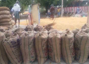 ராஜபாளையம் அருகே விவசாயிகள் வேதனை