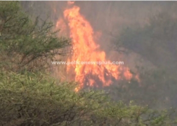 ராஜபாளையத்தில் பொதுமக்கள் அச்சம்!