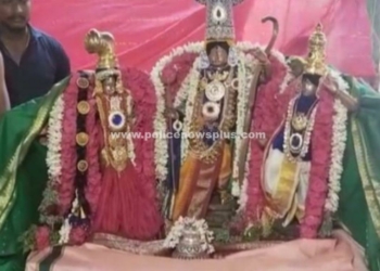 சீதா ராமர் திருக்கல்யாண வைபவம்