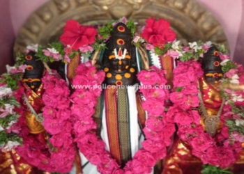 சித்தி விநாயகர் ஆலயத்தில் ராமநவமி விழா