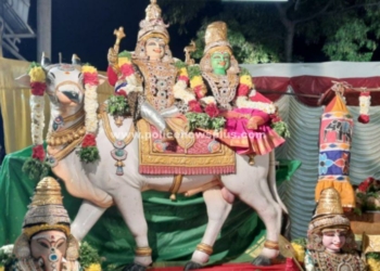 மாசி பொங்கல் திருவிழா கோலாகலம்