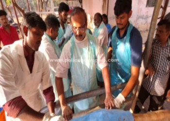 பசுவின் வயிற்றில் 50 கிலோ பிளாஸ்டிக் பைகள் அகற்றம்