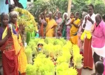 முளைப்பாரி எடுத்து ஊர்வலமாக சென்ற பெண்கள்