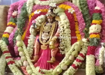 சிவகாசியில் பங்குனிப் பொங்கல் திருவிழா