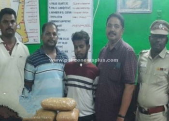 ரயிலில் கஞ்சா கடத்திய வடமாநில வாலிபர் கைது