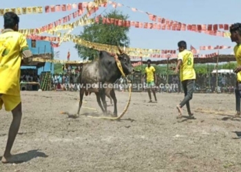 உற்சாகமாக நடைபெற்ற மஞ்சுவிரட்டு போட்டி