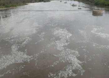 வைகை அணையில் திறக்கப்பட்ட தண்ணீர் சோழவந்தான் வந்தடைந்தது