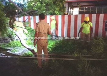 சாலையில் வேரோடு சாய்ந்து விழுந்த நூற்றுக்கும் அதிகமான மரங்கள்