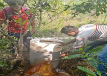 தீவிர மதுவிலக்கு வேட்டை