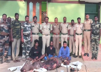 வனவிலங்கை வேட்டையாடிய மூவர் கைது