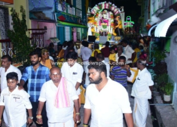 வைகாசி திருவிழாவில் சிம்ம வாகனத்தில் அம்மன் வீதி உலா