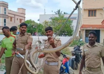 துணி துவைக்கும் எந்திரத்துக்குள் பதுங்கியிருந்த 7 அடி நீள பாம்பு