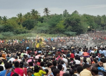 வைகை ஆற்றில் இறங்கிய பெருமாள்