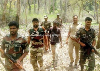 கொடைக்கானல் சிறுமலை பகுதிகளில் ஜி.பி.எஸ். தொழில்நுட்பத்தை பயன்படுத்தி தேடுதல் வேட்டை