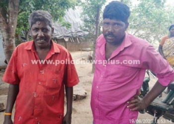 சூதாட்டம் ஆடிய நபர்கள் கைது