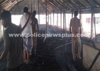 கோழிப்பண்ணையில் பயங்கர தீவிபத்து