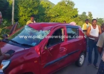 கார் மீது காட்டு மாடுகள் மோதியதில் கார் ஓட்டுநர் படுகாயம்