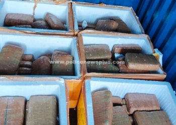 கஞ்சா கடத்திய இரண்டு பேர் கைது