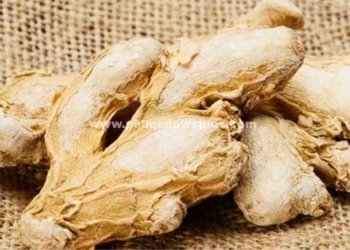 சுக்கு எதனுடன் சேர்ந்தால் நோய் தீர்க்கும் மருந்தாக மாறும்