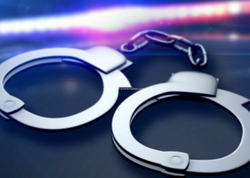 பல குற்றவழக்குகளில் ஈடுபட்ட நபர் கைது