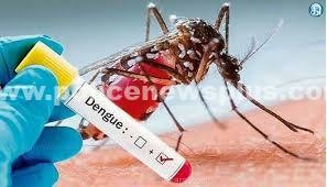 குழந்தைகள் டெங்கு உறுதி மருத்துவமனையில் அனுமதி