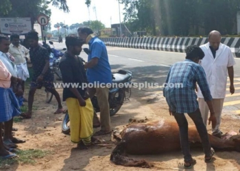 சாலை விபத்து