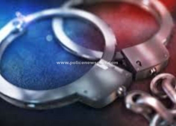 செயின் பறித்த நபர் கைது