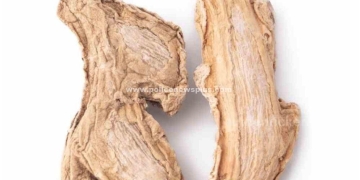 சுக்கு பொடி எதற்கெல்லாம் பயன்படுத்தலாம்