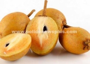 சப்போட்டா பழத்தின் நன்மைகள்