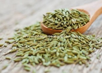 எப்படி அதிகரித்த எடையைக் குறைக்க வேண்டும்