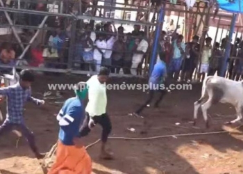 ஜல்லிக்கட்டு மைதானத்தில் போலீசார் பாதுகாப்பு பணி