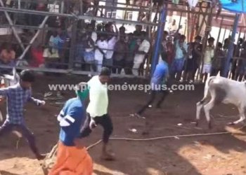 ஜல்லிக்கட்டு மைதானத்தில் போலீசார் பாதுகாப்பு பணி