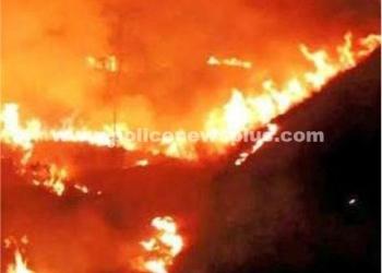 காட்டுத்தீ பற்றி எரிந்ததால் அப்பகுதியில் பரபரப்பு