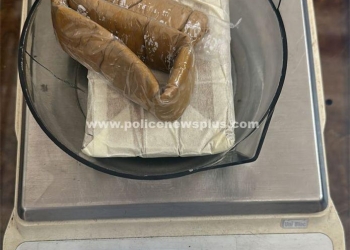 மதுரை விமான நிலையத்திற்கு கடத்தி வரப்பட்ட தங்கம் பறிமுதல்