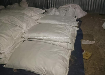 புகையிலை பாக்கெட்டுகள் பறிமுதல்