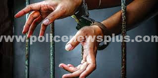 விற்பனைக்காக கஞ்சா வைத்திருந்த நபர்கள் கைது