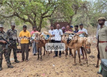 குதிரைகள் மூலம் வாக்கு இயந்திரங்கள்