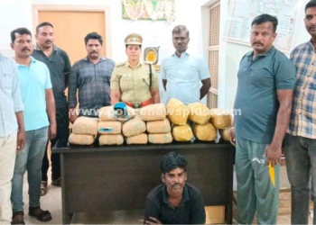 கஞ்சா பதுக்கி வைத்திருந்தவர் கைது