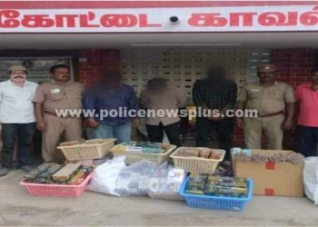 பட்டாசு கடையில்  போலீசார்  சோதனை