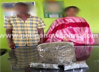 கஞ்சா பறிமுதல் குற்றவாளிகள் கைது