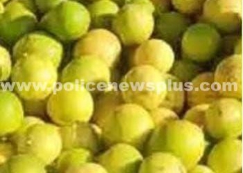 எலுமிச்சை விலை 3 மடங்கு உயர்வு