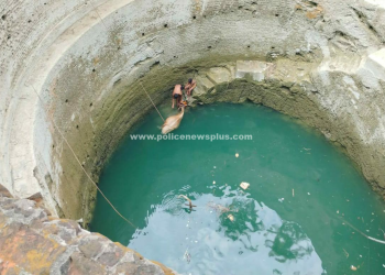 கிணற்றுக்குள் விழுந்த பசு மாட்டை மீட்ட தீயணைப்புத் துறையினர்