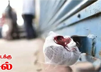 புகையிலை விற்பனை செய்த கடைக்கு சீல்