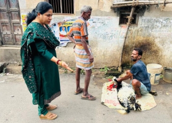 உணவு பாதுகாப்பு அதிகாரி திடீர் சோதனை