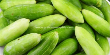 கோவக்காய் சாப்பிடுவதால் ஏற்படும் நன்மைகள்