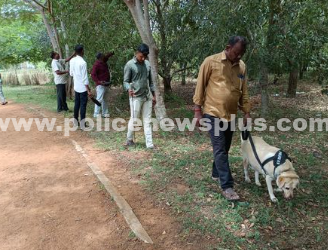 திருவாரூர் மாவட்டத்தில் காவல்துறையினர் தீவிர சோதனை